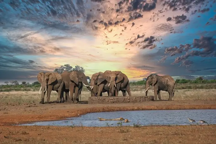 Arusha National Park