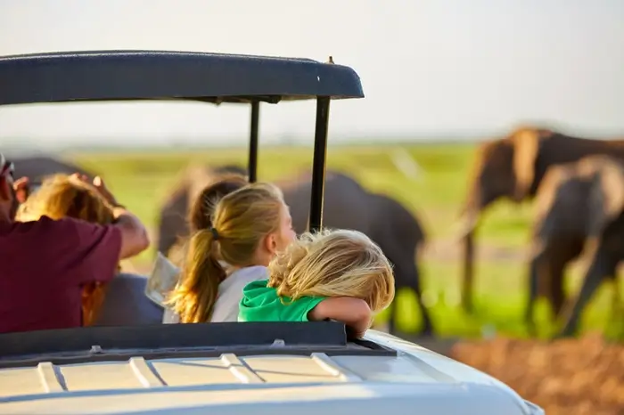 Family-Friendly Tours