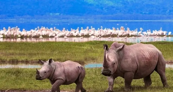Lake Manyara