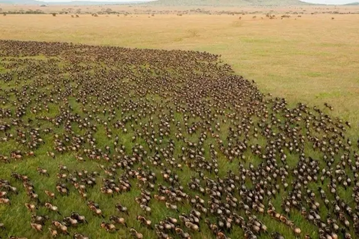 Serengeti National Park