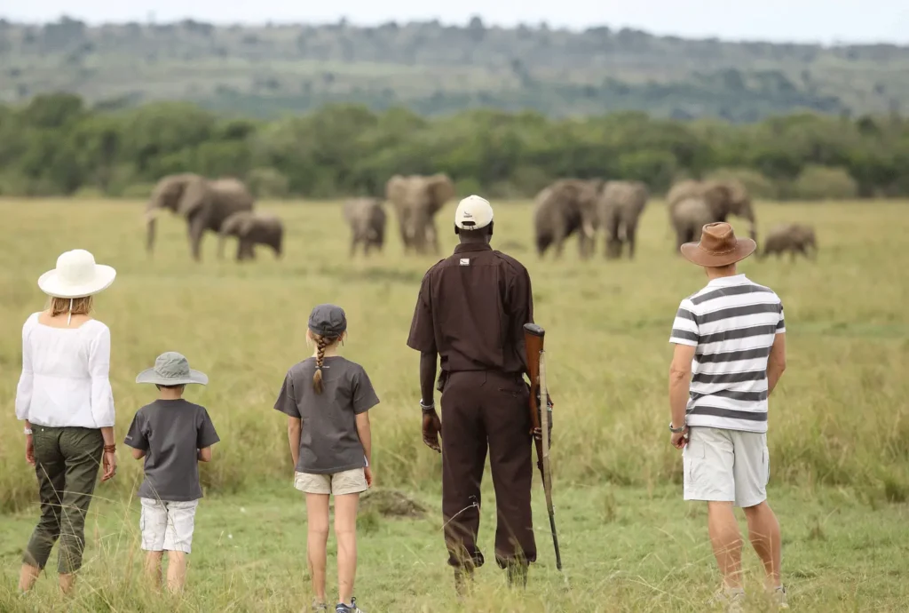 Family Safaris and Tours