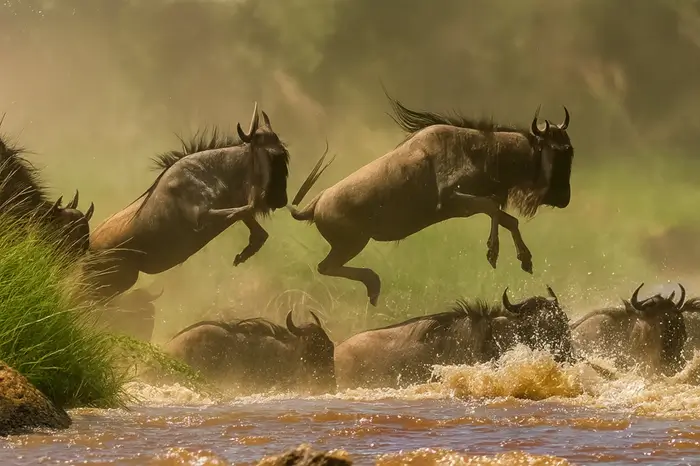 Serengeti National Park (central westeast)