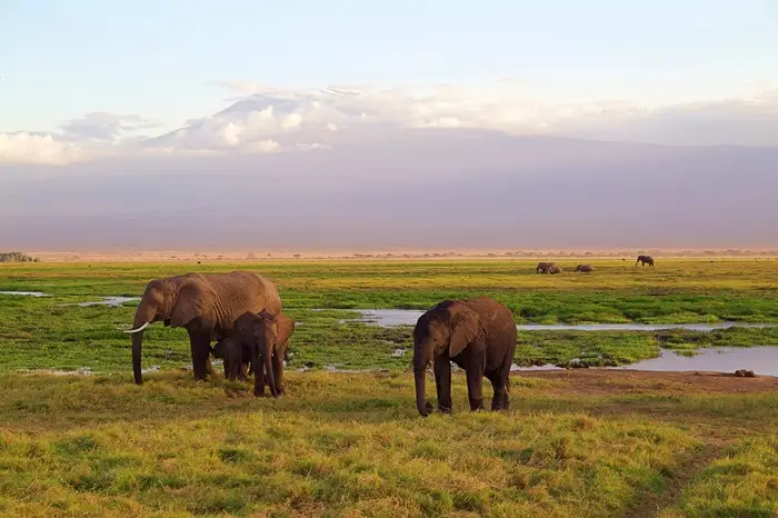 kili9004 700 webp