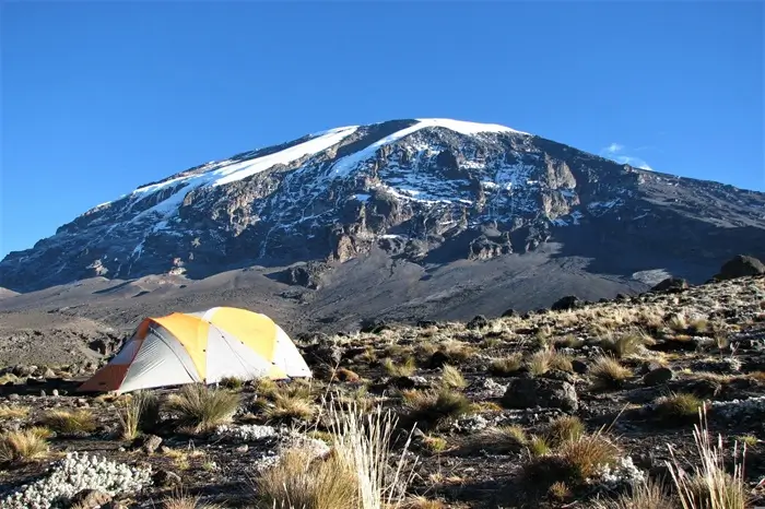 10-day trip: climbing Kilimanjaro via the successful 7-day Lemosho Route