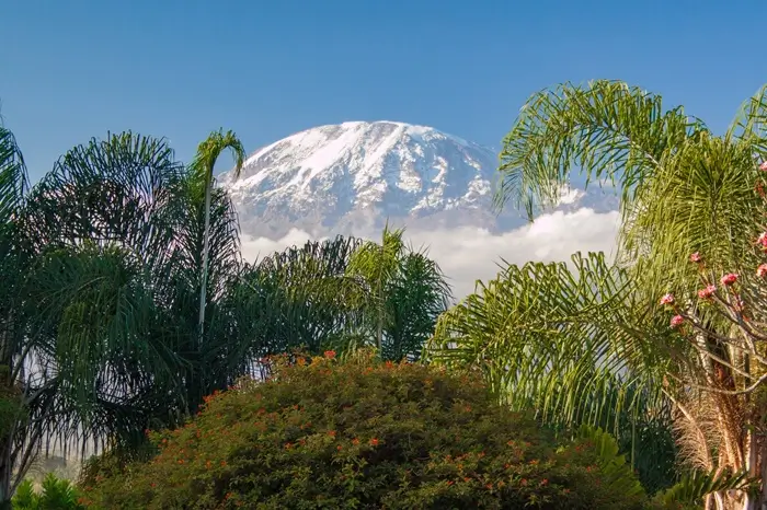 9-day trip: climbing Kilimanjaro via the challenging 6-day Rongai Route