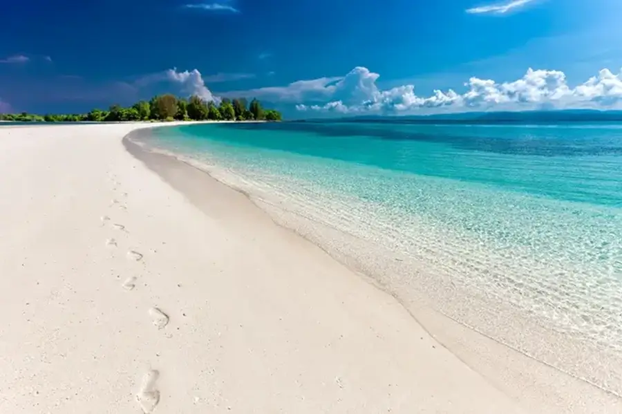 zanzibarbeach2 webp