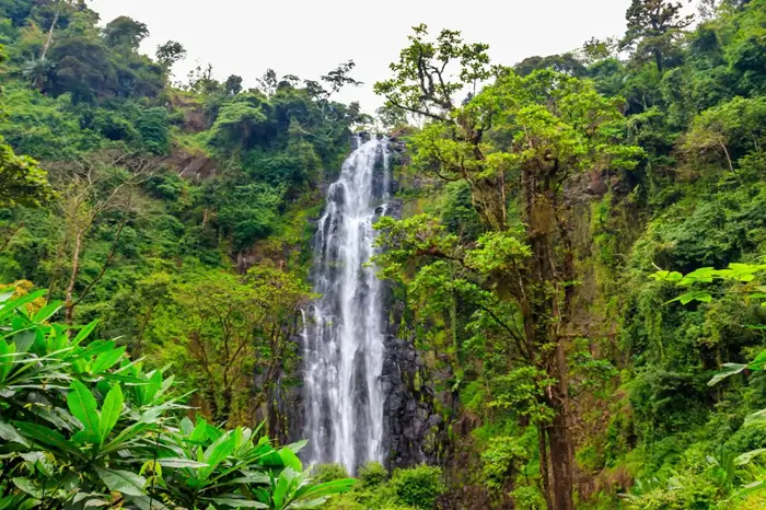 Kuringe waterfall