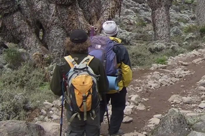 9-day Trip - Climbing Kilimanjaro, 6-Day Lemosho-Shira Route