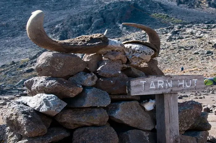 Mawenzi Tarn Camp