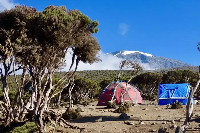 Millennium Camp