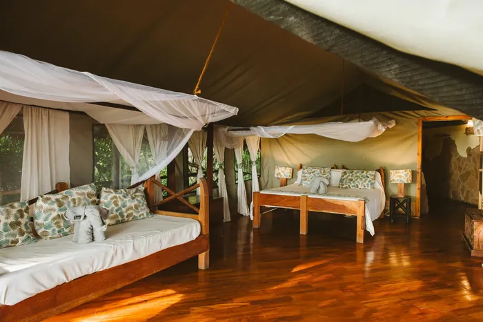 rivercamp-rufiji-foxes_rufiji_caseypratt-2-700X466