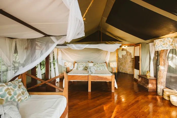 rivercamp-rufiji-foxes_rufiji_caseyprattwebp-700X466